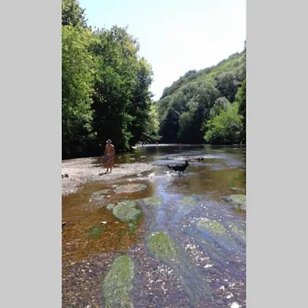 Дом отдыха Gites A Saint Leon Sur Vezere Sergeac