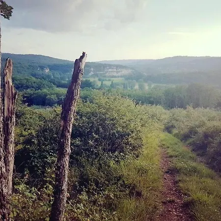Gites A Saint Leon Sur Vezere Sergeac