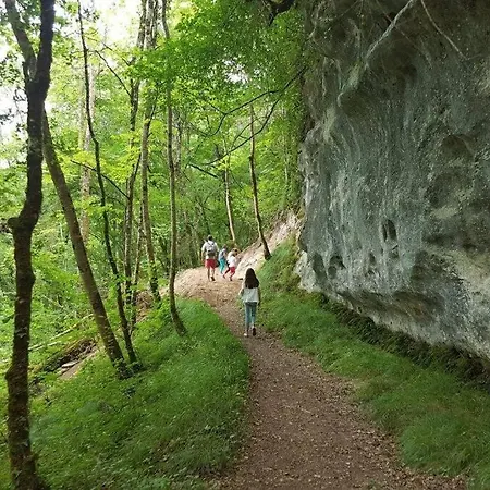 Gites A Saint Leon Sur Vezere *