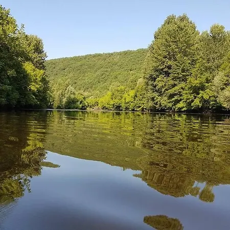 Gites A Saint Leon Sur Vezere Дом отдыха *